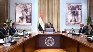 الحكومة-تبحث-التوسع-في-إنشاء-محطات-الثروة-الحيوانية-الحديثة