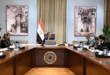 رئيس-الوزراء-يستعرض-موقف-تنفيذ-مشروعات-الخطة-الاستثمارية-بالجيزة