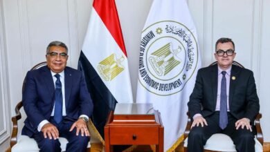 “التخطيط”:-9.4-مليار-جنيه-استثمارات-عامة-لتمويل-582-مشروعاً-تنموياً-بالدقهلية
