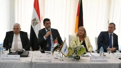 وزير-الصناعة:-التطوير-الصناعي-منخفض-الكربون-بمصر-ضرورة-اقتصادية-استراتيجية