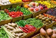 سلامة-الغذاء:-تصدير-175-ألف-طن-مواد-غذائية.-والسعودية-فى-مقدمة-الدول-المستوردة