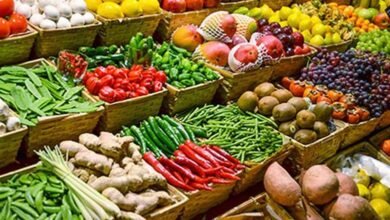 سلامة-الغذاء:-تصدير-175-ألف-طن-مواد-غذائية.-والسعودية-فى-مقدمة-الدول-المستوردة