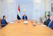 “السيسي”-يوجه-بربط-تنفيذ-برامج-الاستراتيجية-الصناعية-بتوقيتات-زمنية-محددة