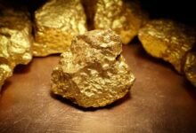 العام-المقبل.-بدء-الإنتاج-الفعلى-لذهب-«أبو-مروات»-باحتياطى-135-ألف-أوقية