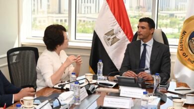 “جيانجسو-تشانجهونج”-الصينية-تخطط-لاستثمار-20-مليون-دولار-في-قطاع-السيارات-بمصر