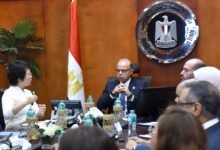 الاستثمار-تبحث-مع-“جيانجسو”-الصينية-إنشاء-مصنع-لمعدات-إنتاج-السيارات-في-مصر-بـ-20-مليون-دولار