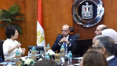 الاستثمار-تبحث-مع-“جيانجسو”-الصينية-إنشاء-مصنع-لمعدات-إنتاج-السيارات-في-مصر-بـ-20-مليون-دولار