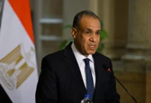 وزير-الخارجية: استثمارات-القطاع-الخاص-المصري-في-إفريقيا-تتجاوز-14-مليار-دولار