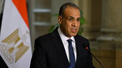 وزير-الخارجية: استثمارات-القطاع-الخاص-المصري-في-إفريقيا-تتجاوز-14-مليار-دولار
