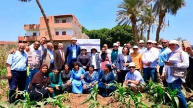 «الفاو»-تتجاوز-مستهدفات-مشروع-التنمية-الريفية-فى-محافظ-المنيا