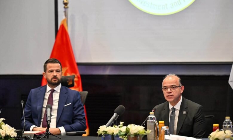 الاستثمار:-مشروع-خط-الملاحة-البحري-بين-مصر-والجبل-الأسود-سيخفض-تكاليف-النقل