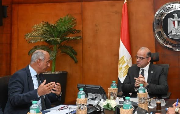 الاستثمار:-توجيه-التمويلات-الدولية-للمشروعات-ذات-الأولوية-لتعزيز-تنافسية-الاقتصاد-المصري.